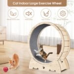 Cat Exercise Wheel For Indoor Cats, Running Wheel With Carpeted Runway - Image 4