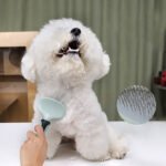 Dog Clippers, Professional Dog Grooming Kit, Cordless Dog Grooming Clippers For Thick Coats, Dog Hair Trimmer, Low Noise Dog Shaver Clippers, Quiet Pet Hair Clippers For Dogs Cats  Dog Grooming Kit - Image 3
