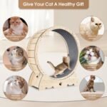 Cat Exercise Wheel For Indoor Cats, Running Wheel With Carpeted Runway - Image 6
