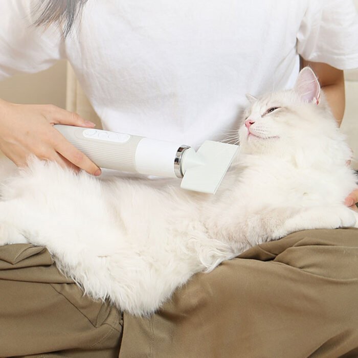 Pet Cat Hair Dryer Low Noise Large Dog High Power - Image 1