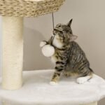 PawHut 47 Cat Tree Kitty Activity Center, Cat Climbing Toy With Cattail Fluff, Bed, Condo, Sisal Scratching Post, And Hanging Ball, Natural - Image 7