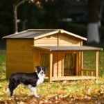 Large Wooden Dog House Outdoor Hut Style With Porch, 2 Doors - Image 4