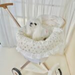 Pet Stroller Anti-dirty Towel Cushion Pillow Pure Cotton Three-piece Set For Cats And Dogs Removable And Washable Pad - Image 8