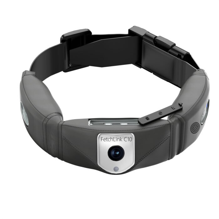 C10 Smart Pet Collar Monitoring Health Multifunctional - Image 3