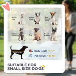 3 In 1 Dog Stroller With Detachable Cabin, 4 Wheel Folding Lightweight Pet Stroller For Small Dogs, Gray - Image 2