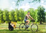 Yellow Outdoor Heavy Duty Foldable Practical Pet Stroller Dog Carrier With Bicycle Tow - Image 7