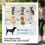 3 In 1 Pet Stroller With Detachable Carrier, Foldable Dog Stroller With Storage Basket, Cupholder, For Mini Dogs, Gray - Image 2