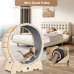 Cat Exercise Wheel For Indoor Cats, Running Wheel With Carpeted Runway - Image 2